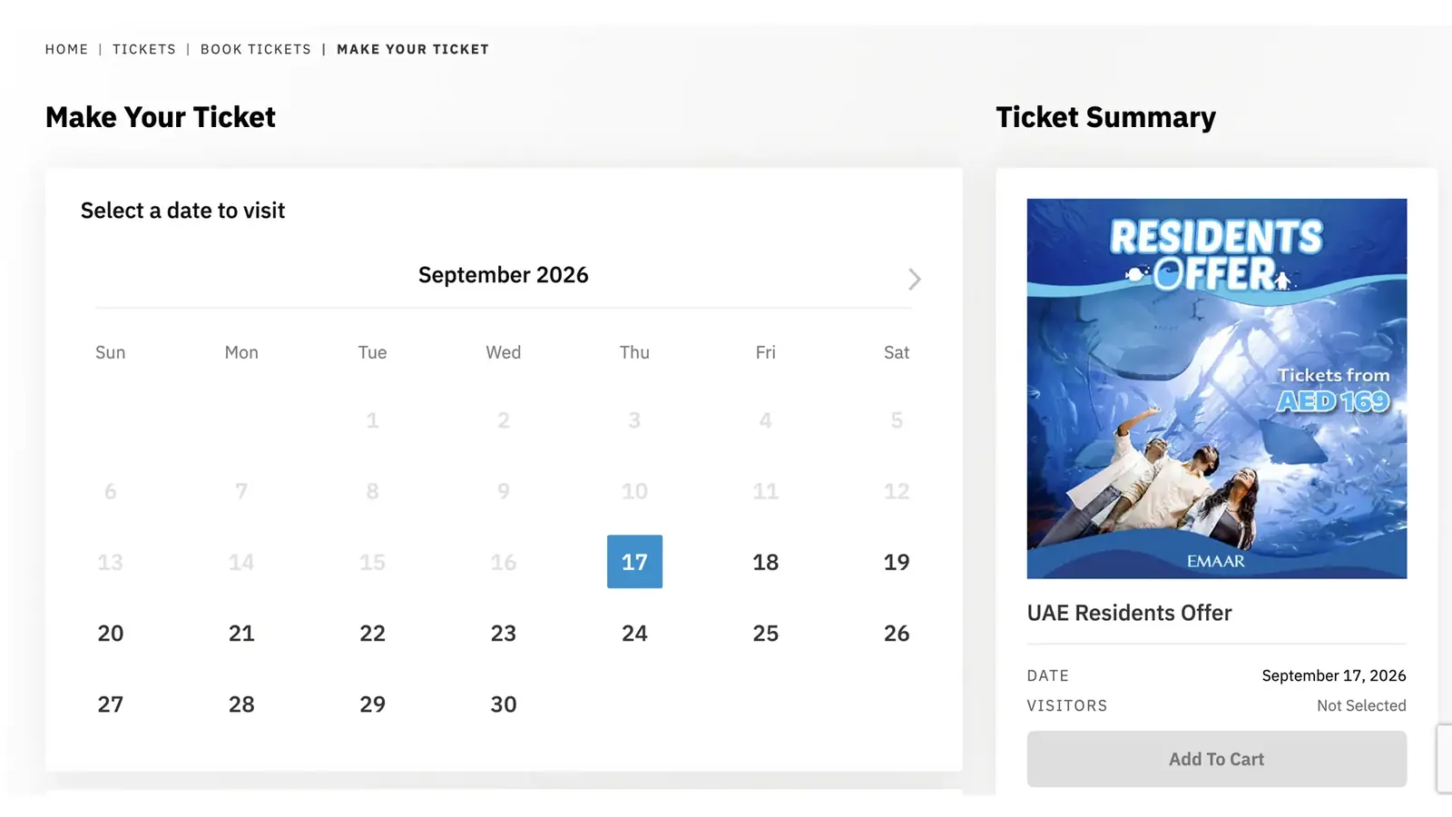 Website detail